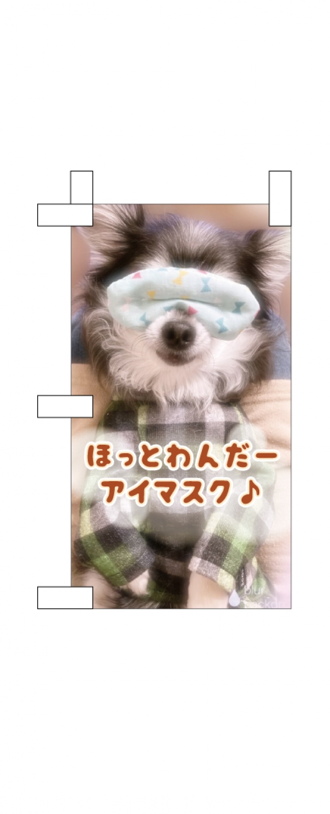 犬用アイマスクののぼり