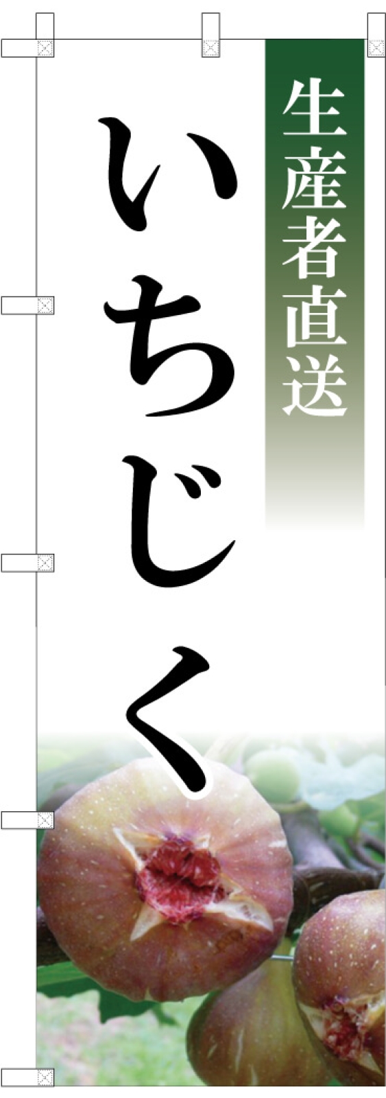 いちじくののぼり