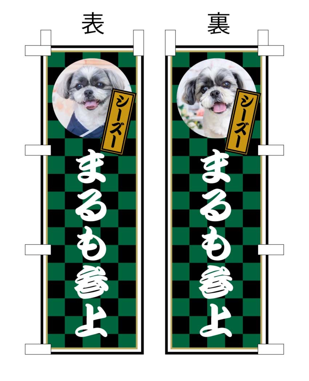 愛犬のミニのぼり
