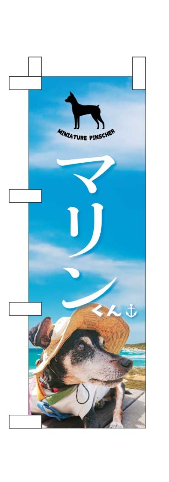 愛犬のミニのぼり