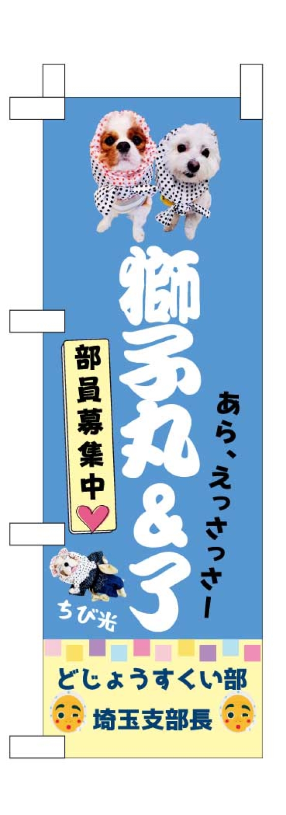 愛犬のミニのぼり