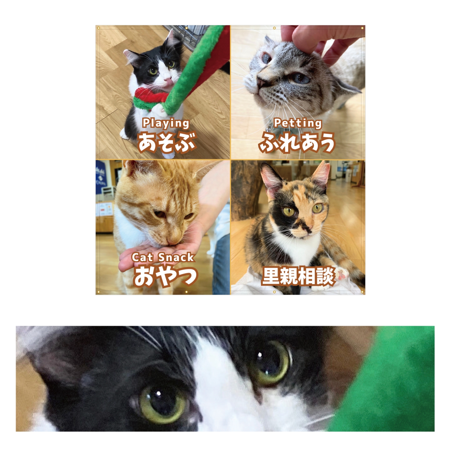保護猫カフェの日除け幕