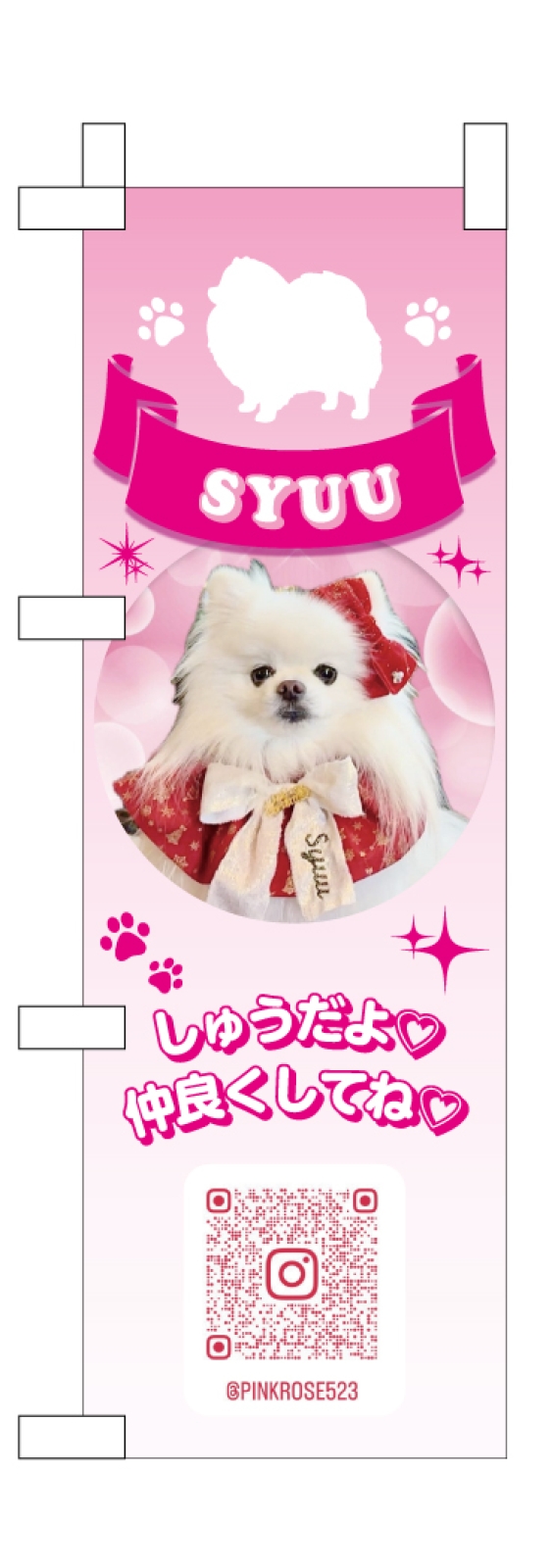 新潟県 しゅうちゃん