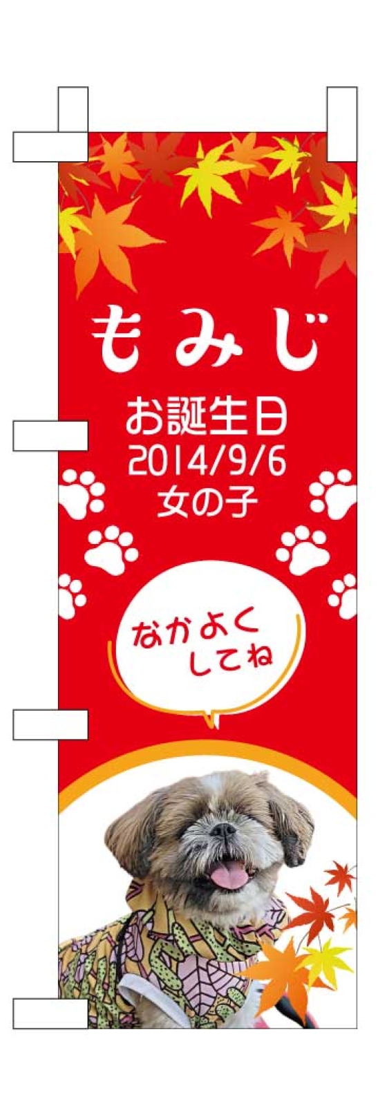 愛犬のミニのぼり
