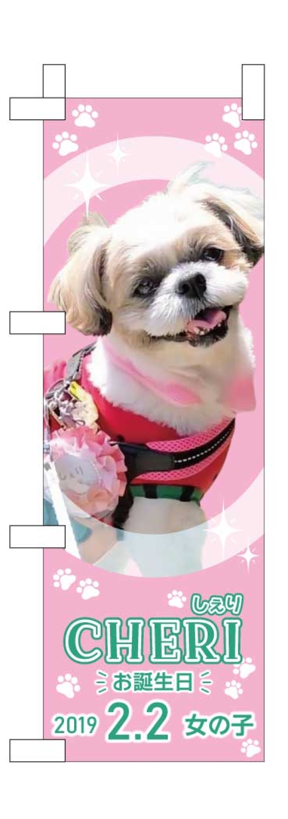 愛犬のミニのぼり