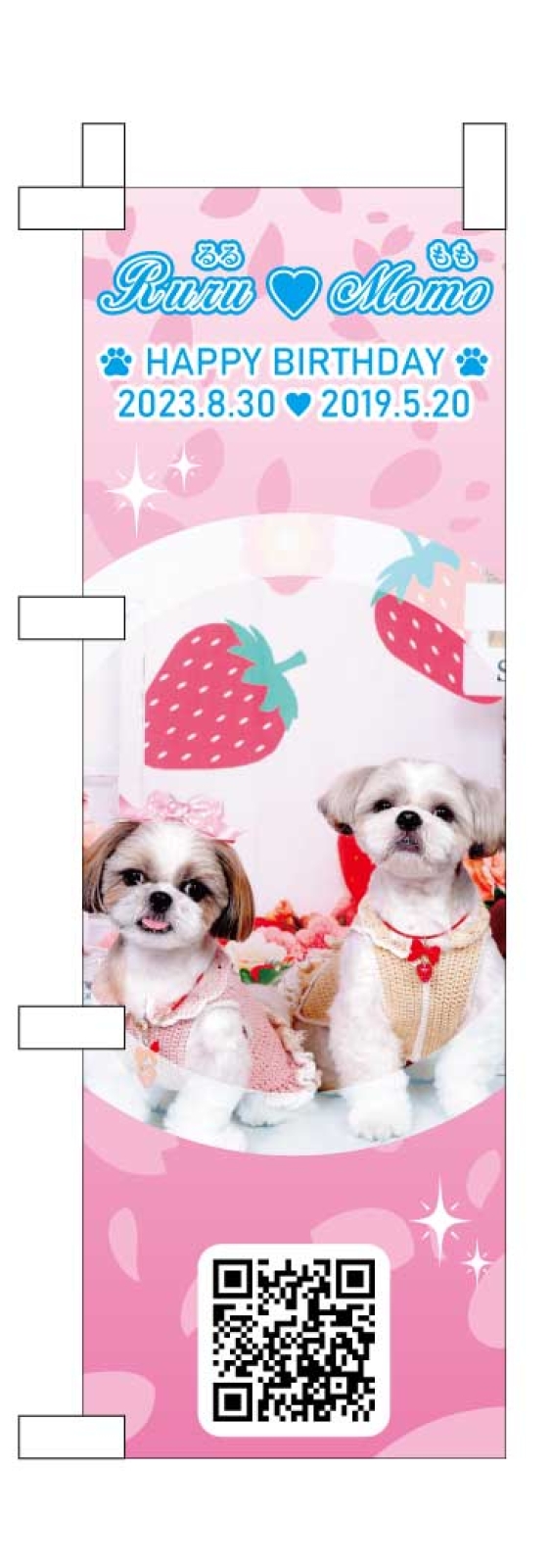 愛犬のミニのぼり
