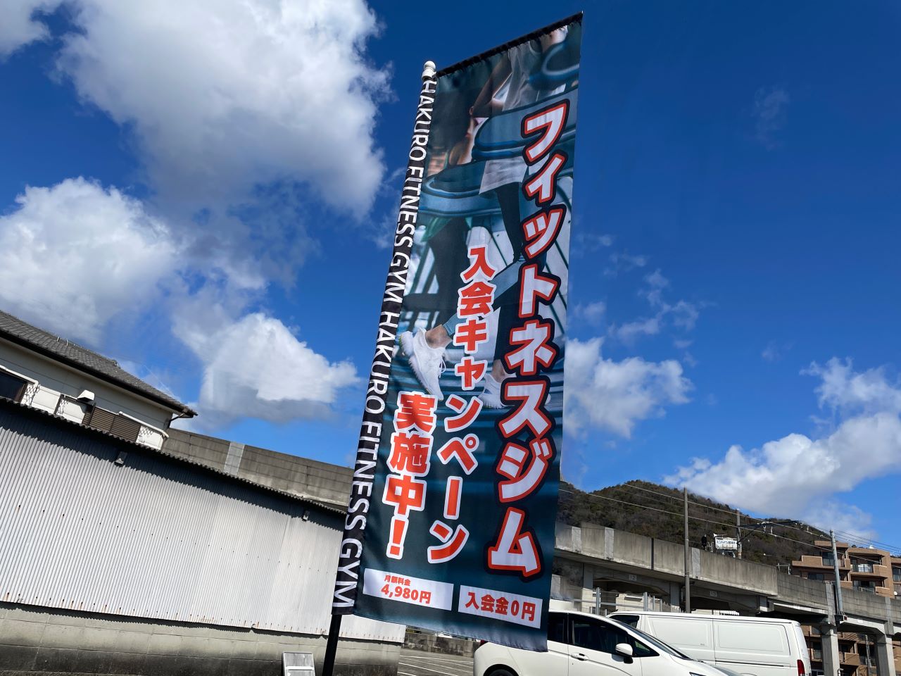 スタイリッシュのぼりの見た目