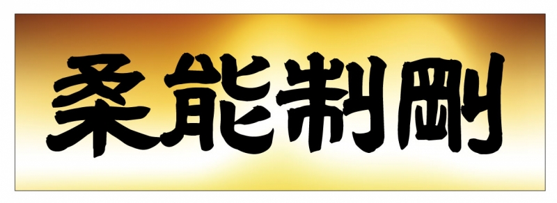 柔能制剛
