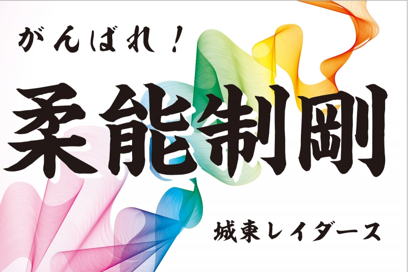 団旗 部旗 クラブ旗デザインサンプル かっこいい 団旗 部旗 クラブ旗デザインサンプル かっこいい